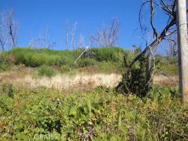 0 Meadow, Berry Creek, CA 95916 - #3