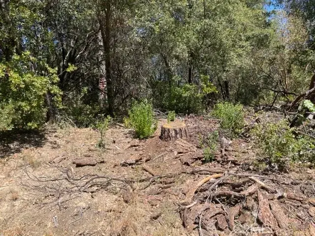 10 Broken Springs, Oroville, CA 95966 - #3