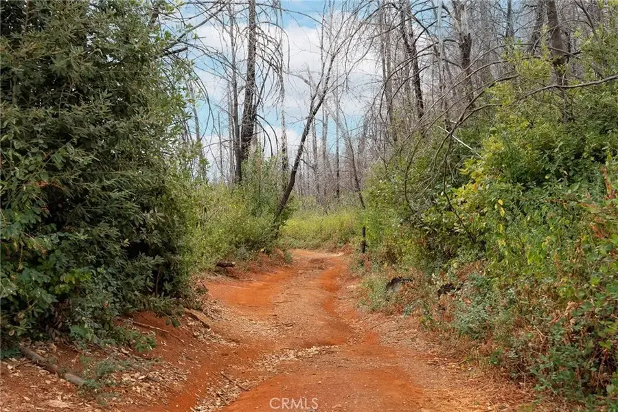 0 Stephens Ridge Rd, Berry Creek, CA 95916 - Image #3