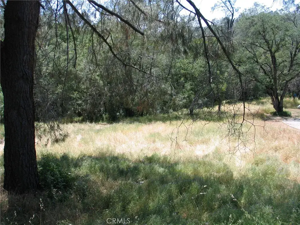 211 Lemon Hill, Oroville, CA 95966 - #1