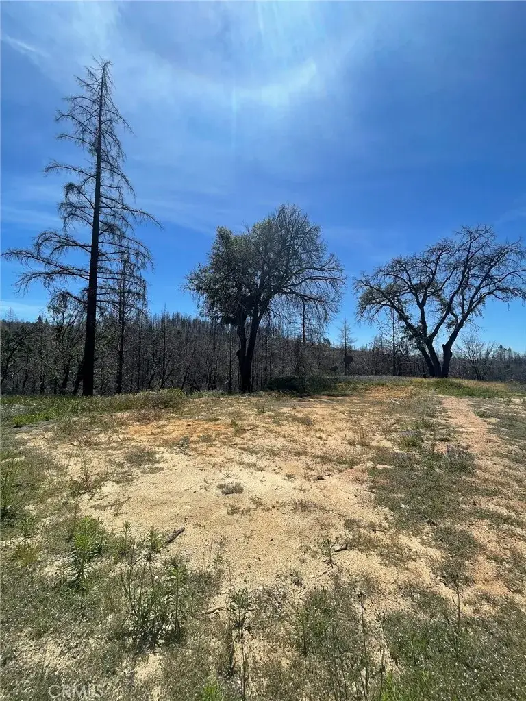 180 Mirage Lake, Berry Creek, CA 95916 - Image #3