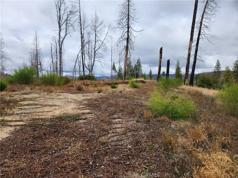 1103 Bald Rock, Berry Creek, CA 95916 - #2