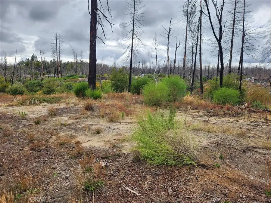 1103 Bald Rock, Berry Creek, CA 95916 - #3