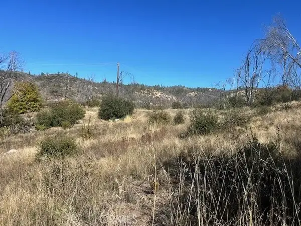 0 Craig Access, Feather Falls, CA 95940