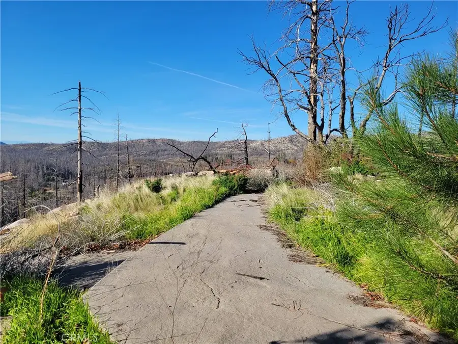 161 Shadow Creek, Berry Creek, CA 95916 - #2