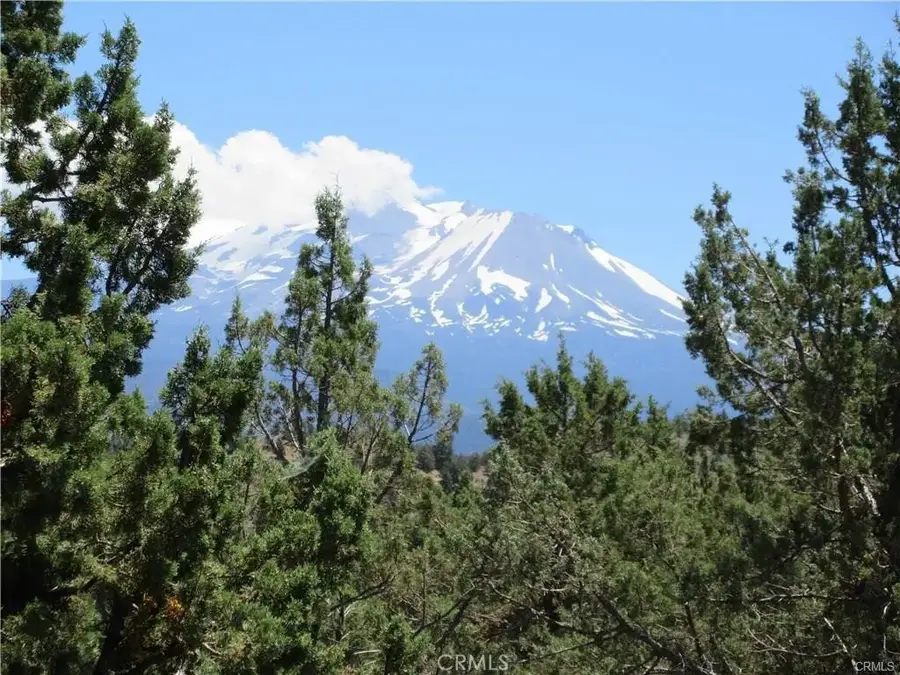 5115 Palomino Rd, Weed, CA 96094 - #2