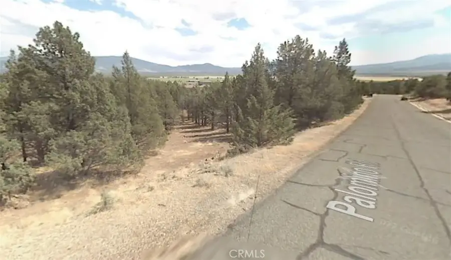 5115 Palomino Rd, Weed, CA 96094 - #3