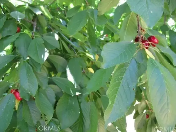 6636 Dolores, Paradise, CA 95969