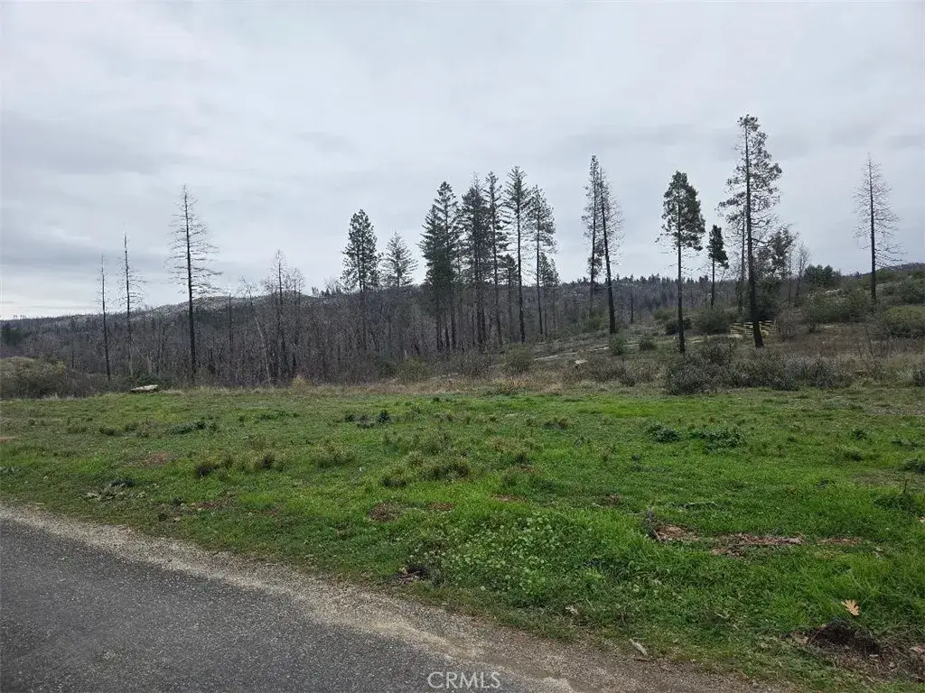 259 Rockerfeller, Berry Creek, CA 95916 - #1