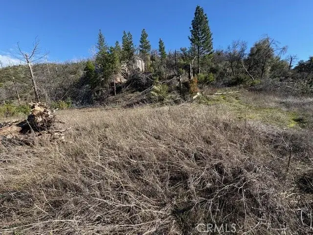 8870 Oro Quincy, Berry Creek, CA 95916 - #2