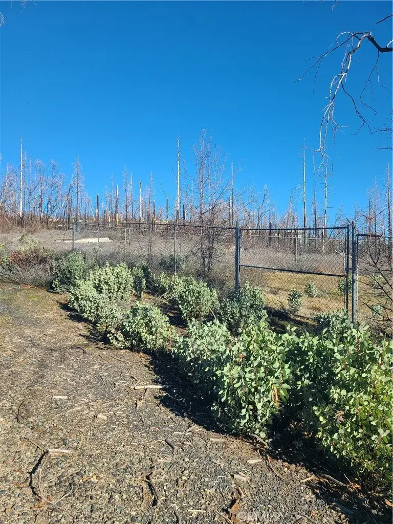 81 Green Cedar, Berry Creek, CA 95916 - Image #2