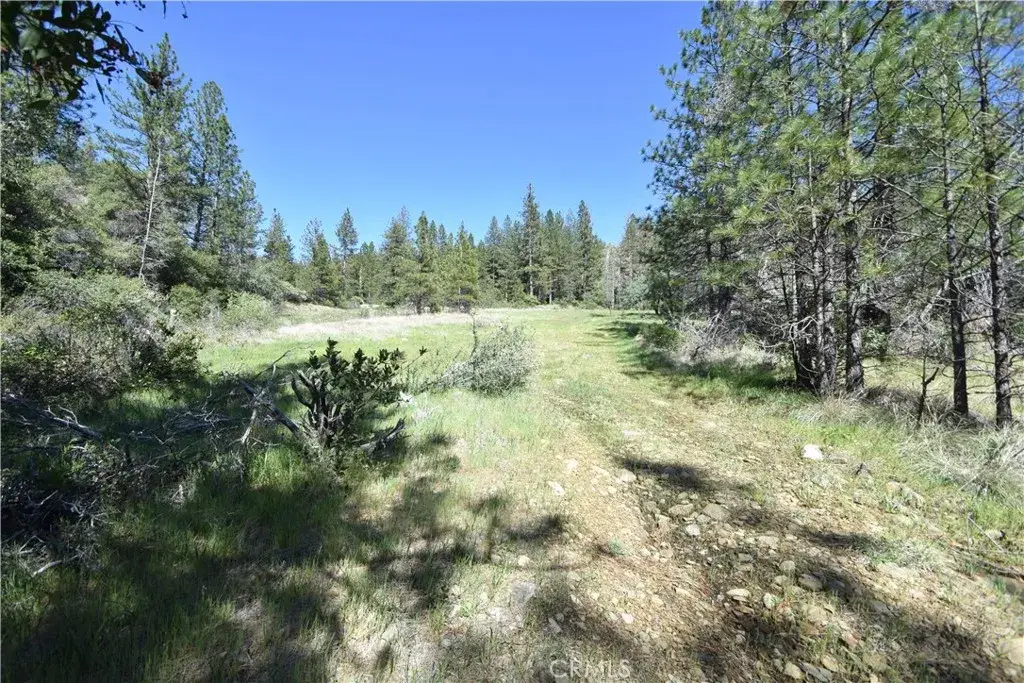 17861 Ponderosa, Oroville, CA 95966 - #1
