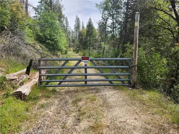 1977 Big Ridge, Berry Creek, CA 95916