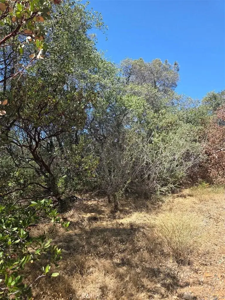 0 Roemelt, Oroville, CA 95966 - #1