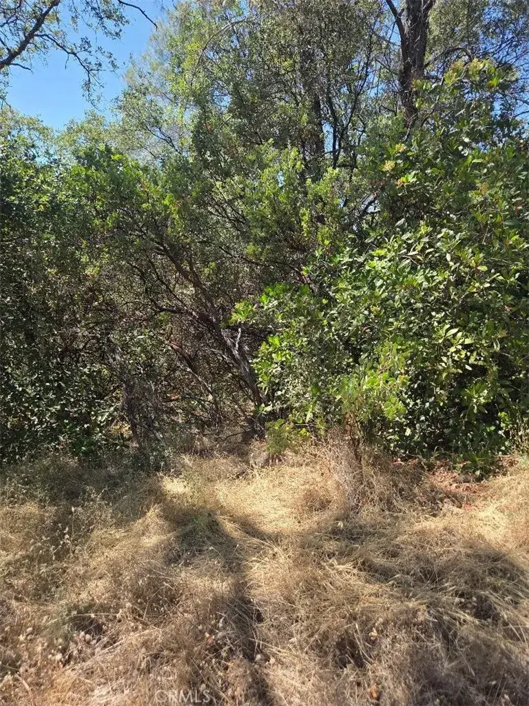 0 Roemelt, Oroville, CA 95966 - #2
