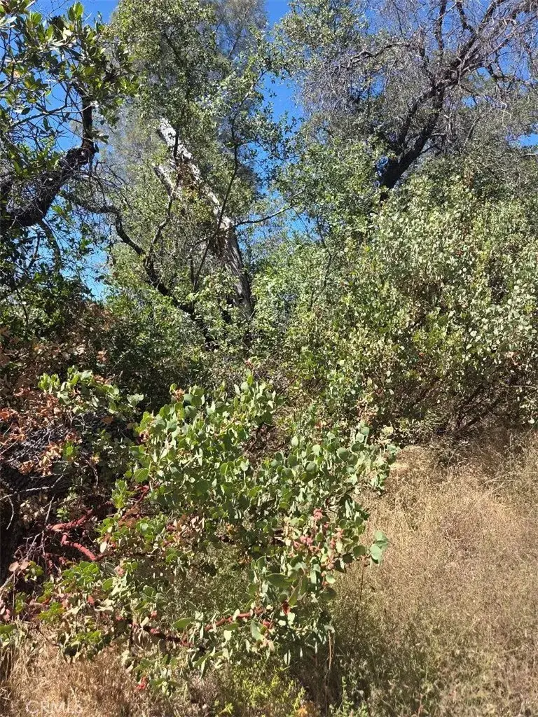 0 Roemelt, Oroville, CA 95966 - #3