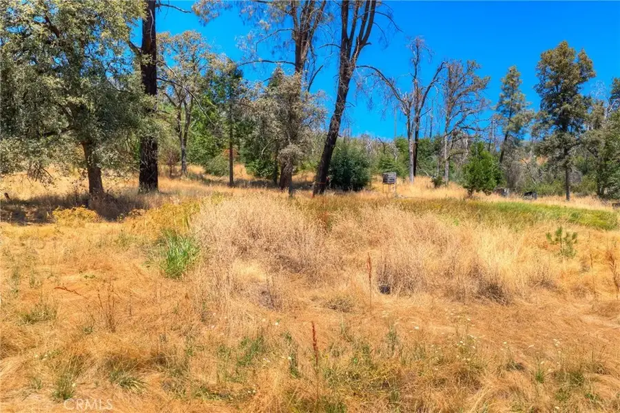 28 He Le Ve, Berry Creek, CA 95916 - #2