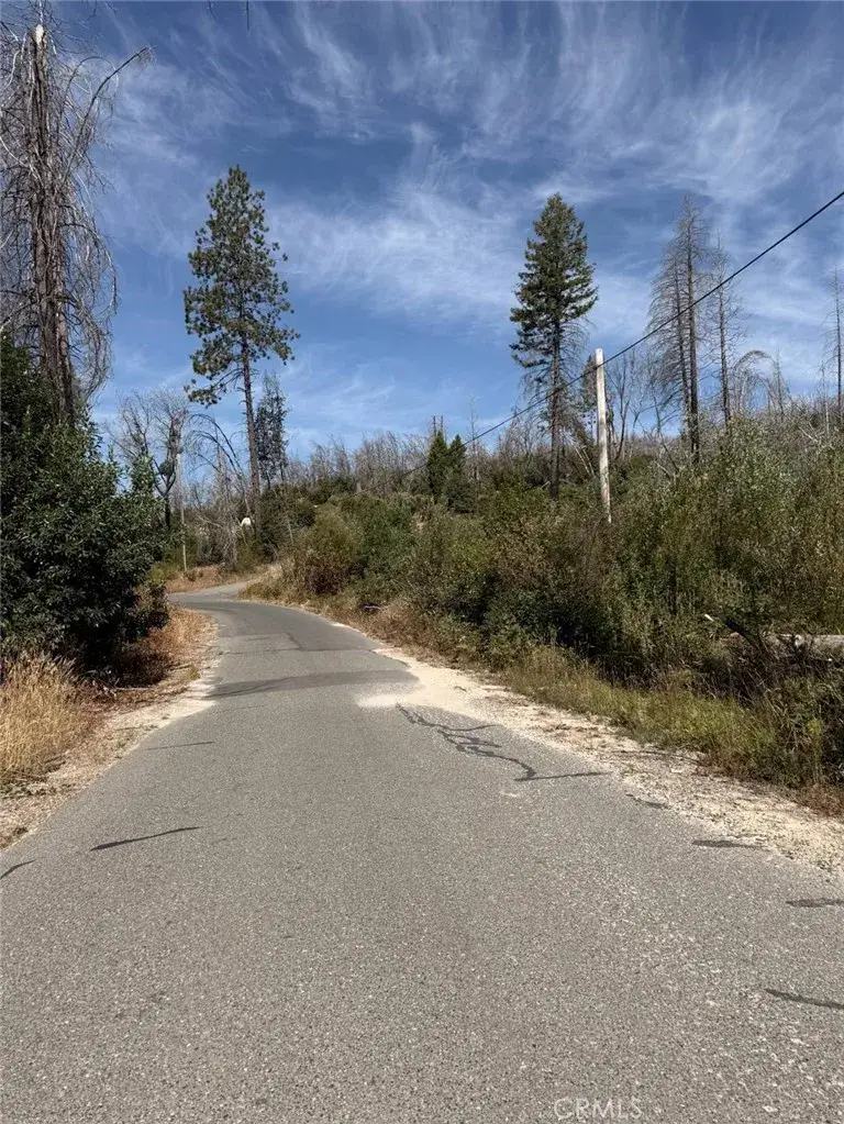 0 Oak, Berry Creek, CA 95916 - #3