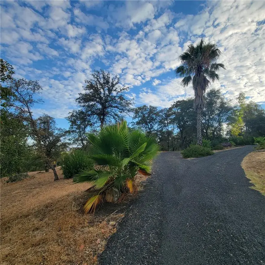 289 Skyline Boulevard, Oroville, CA 95966 - #2