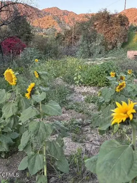 0 Jaxine, Altadena, CA 91001 - Image #3