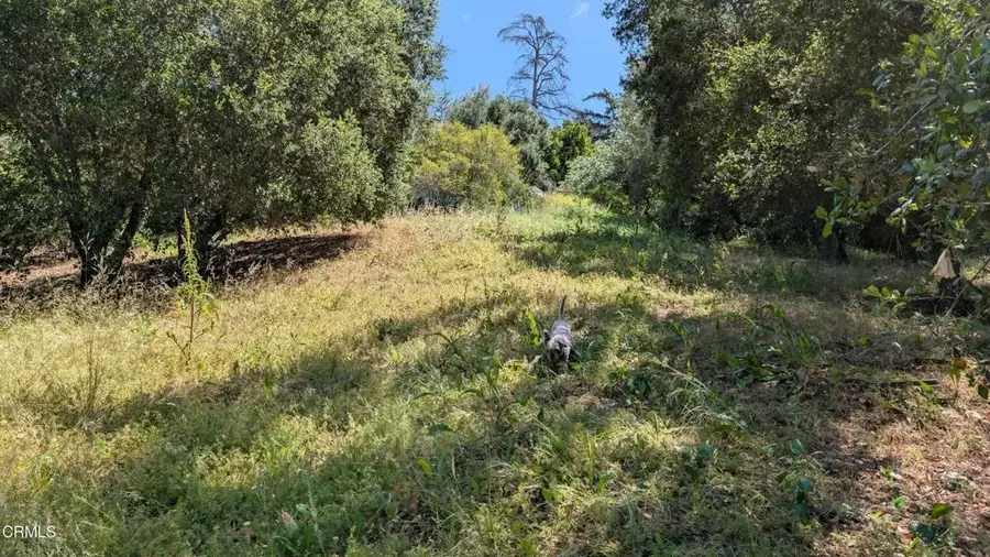 3530 N Knoll, Los Angeles, CA 90068 - #3