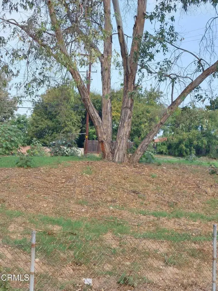 512 Peckam, La Puente, CA 91746 - #2