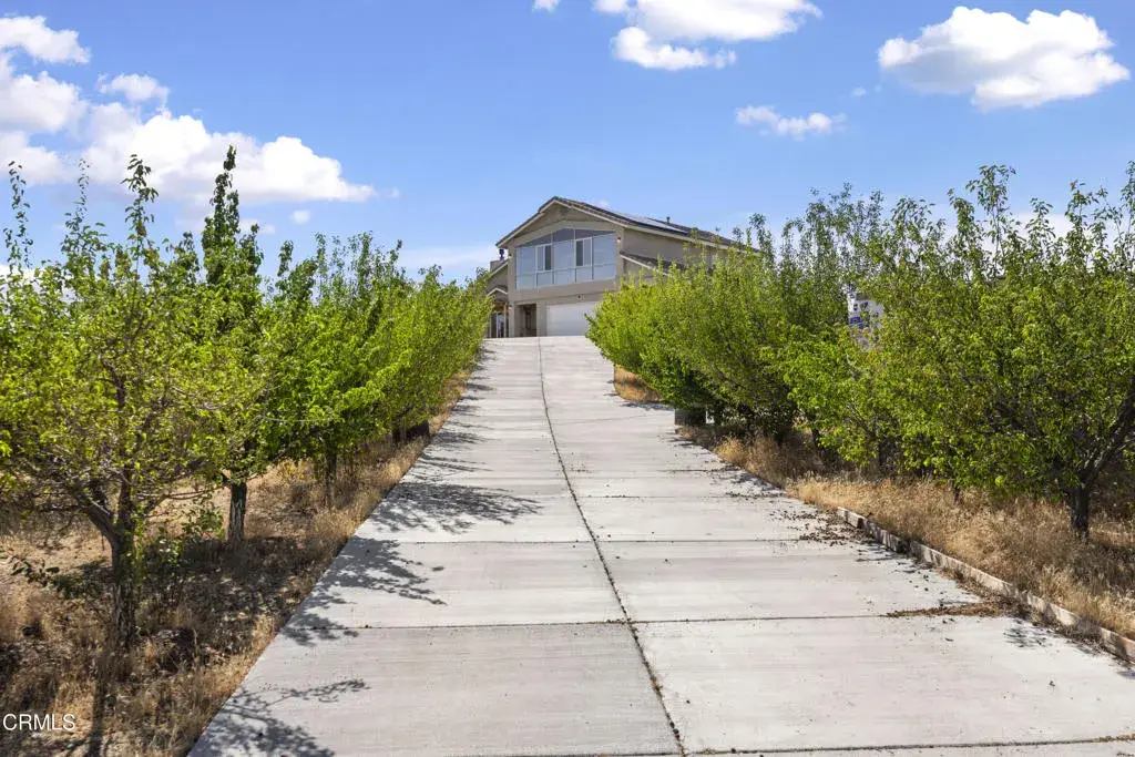 8671 Deer Haven Drive, Pinon Hills, CA 92377 - #1