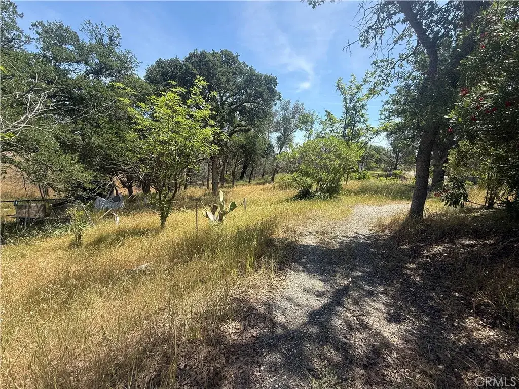 7274 Crazy Horse, Corning, CA 96021 - #1