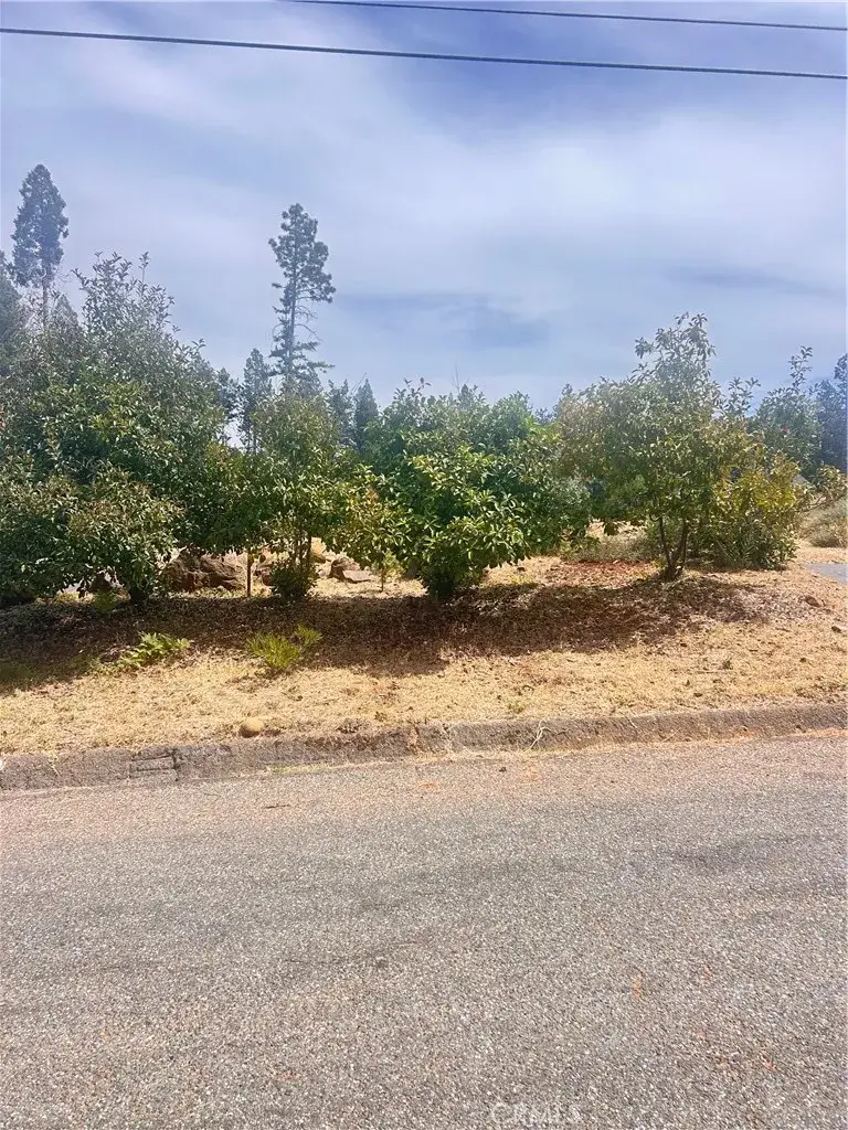 13837 Ferguson, Magalia, CA 95954 - #1
