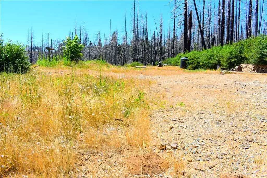 461 Milsap Bar, Berry Creek, CA 95916 - #1