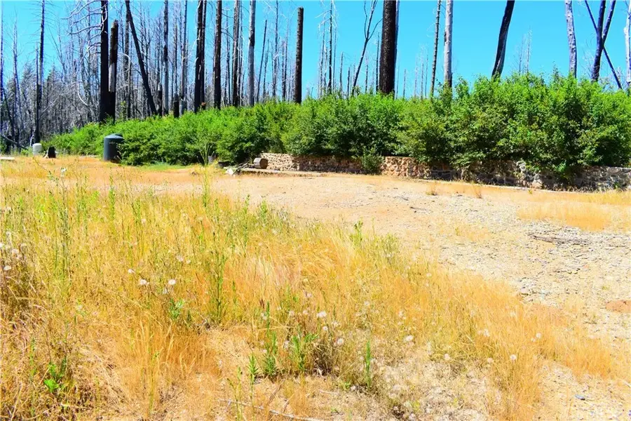 461 Milsap Bar, Berry Creek, CA 95916 - #2