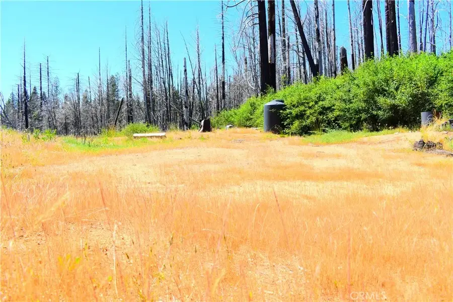 461 Milsap Bar, Berry Creek, CA 95916 - #3