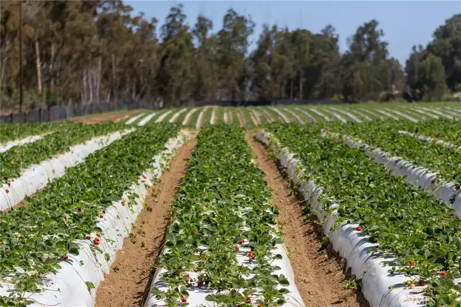 0 Indiana, Nipomo, CA 93444 - Image #3