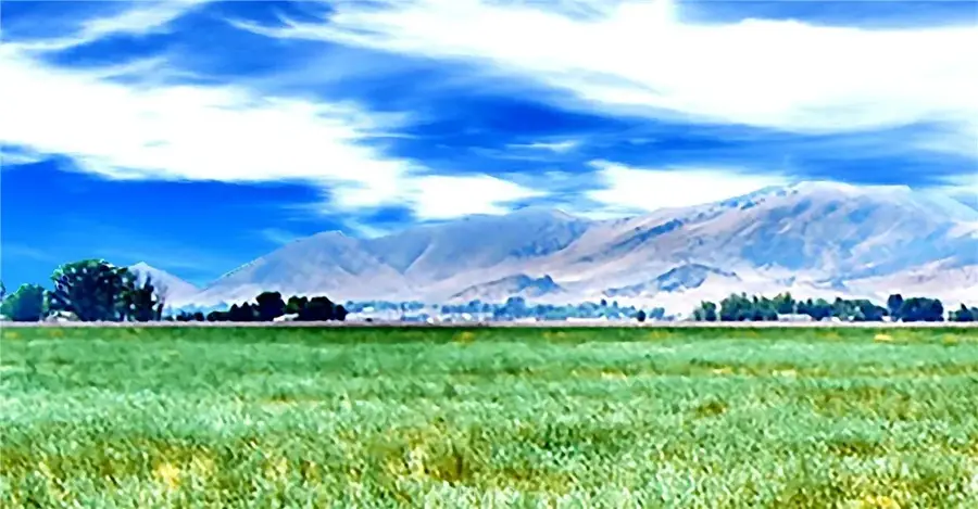 13790 Gallant, Santa Margarita, CA 93453 - Image #2