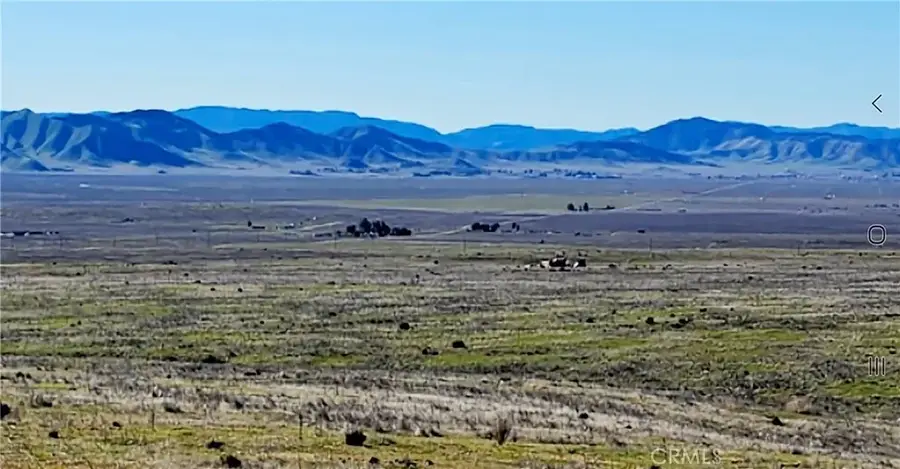 14731 Arlington, Santa Margarita, CA 93453 - #3