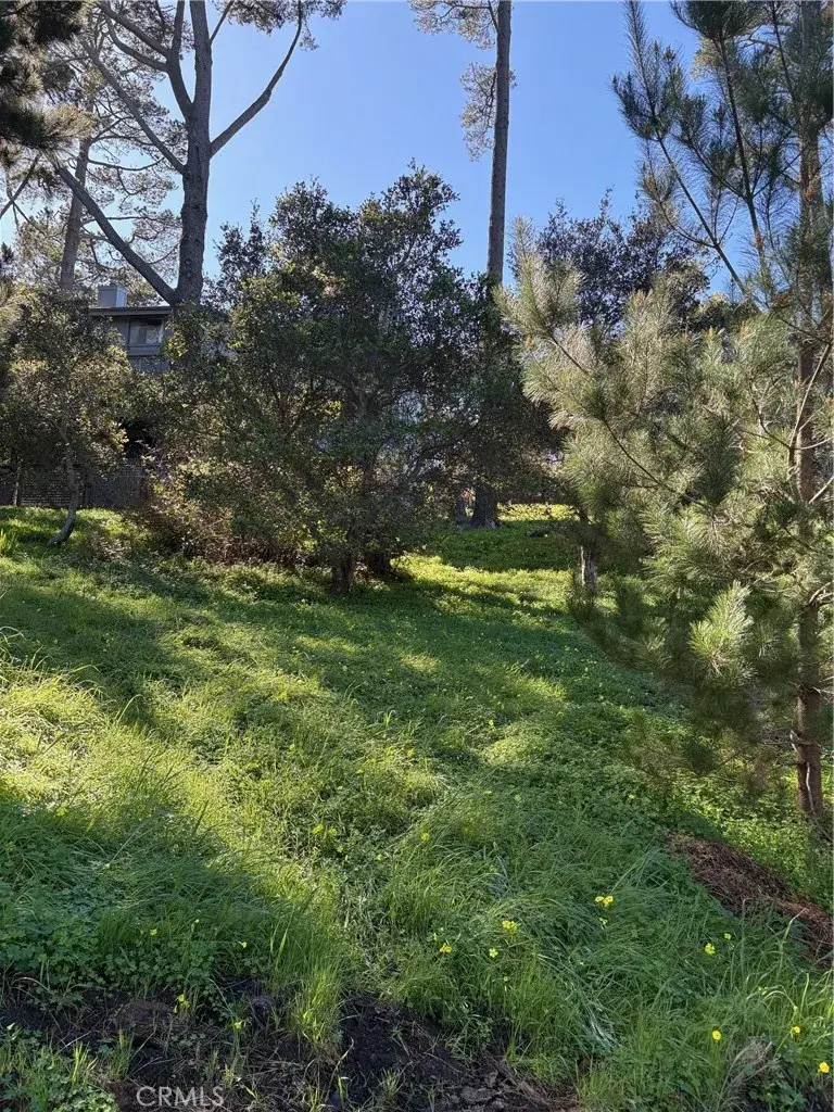 0 Spencer, Cambria, CA 93428 - #2