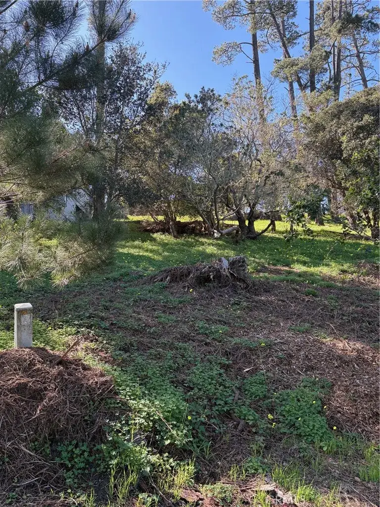 0 Spencer, Cambria, CA 93428 - #3