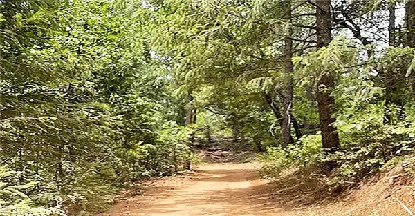 15052 Red Hill Spring, Nevada City, CA 95959