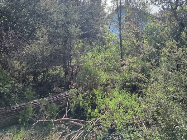 53309 Road 432, Bass Lake, CA 93604