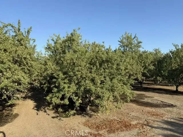 4032 W Inyo, Tulare, CA 93274 - #2