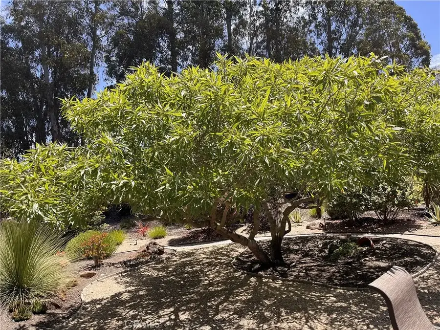 1007 Maggie Lane, Nipomo, CA 93444 - #3