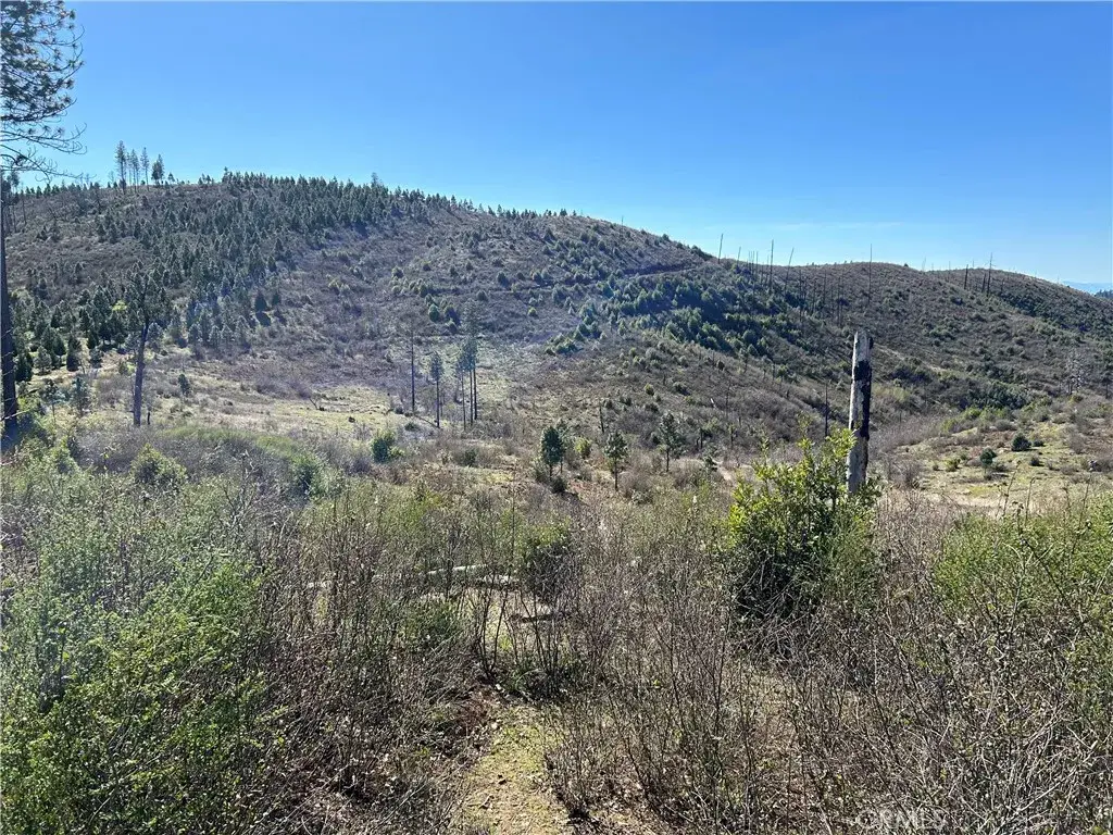 1234 Hog Ranch Rd, Oroville, CA 95965 - #1