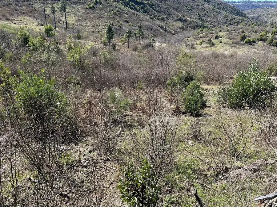 1234 Hog Ranch Rd, Oroville, CA 95965 - #2