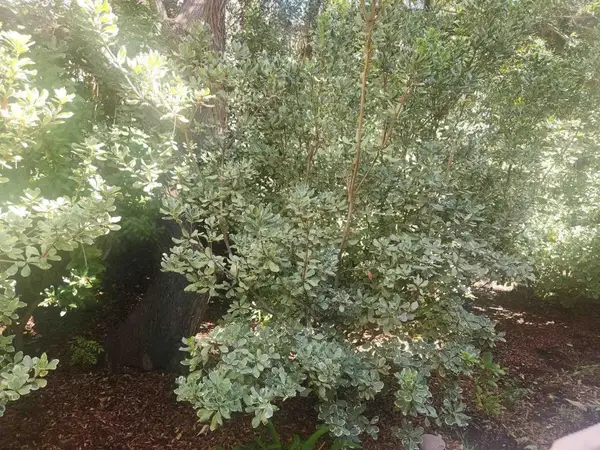 2926 Alwood Court, Spring Valley, CA 91978