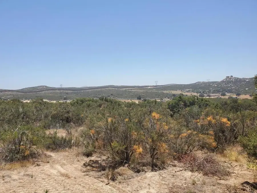 20 Buckman Springs, Campo, CA 91906 - #3