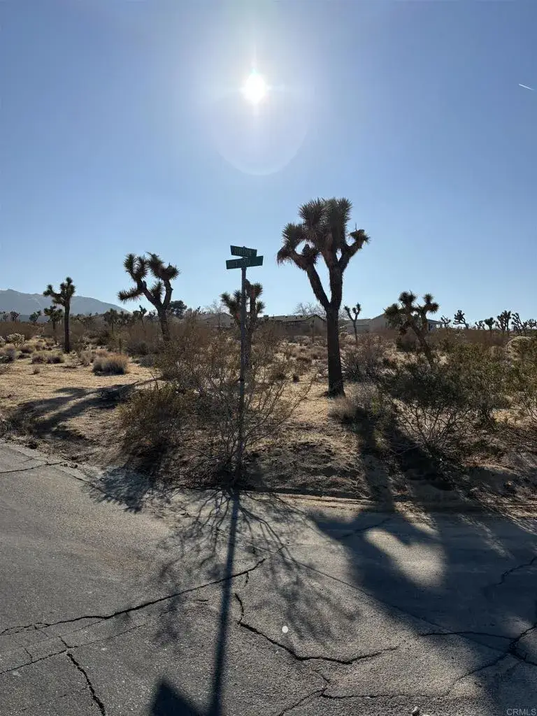 0 Division, Joshua Tree, CA 92252 - #1