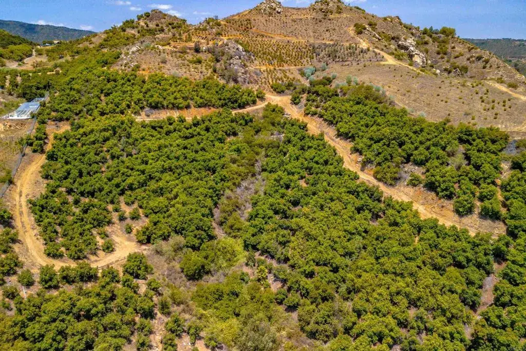 1 Los Gatos, Temecula, CA 92590 - #1