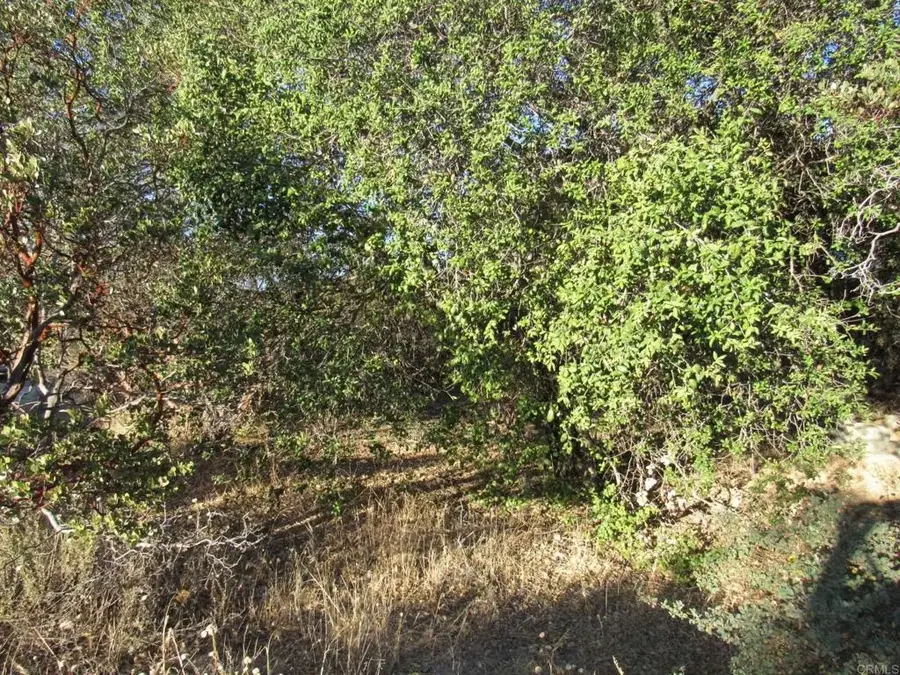 153 Old 80 And Hwy 94, Boulevard, CA 91905 - #3