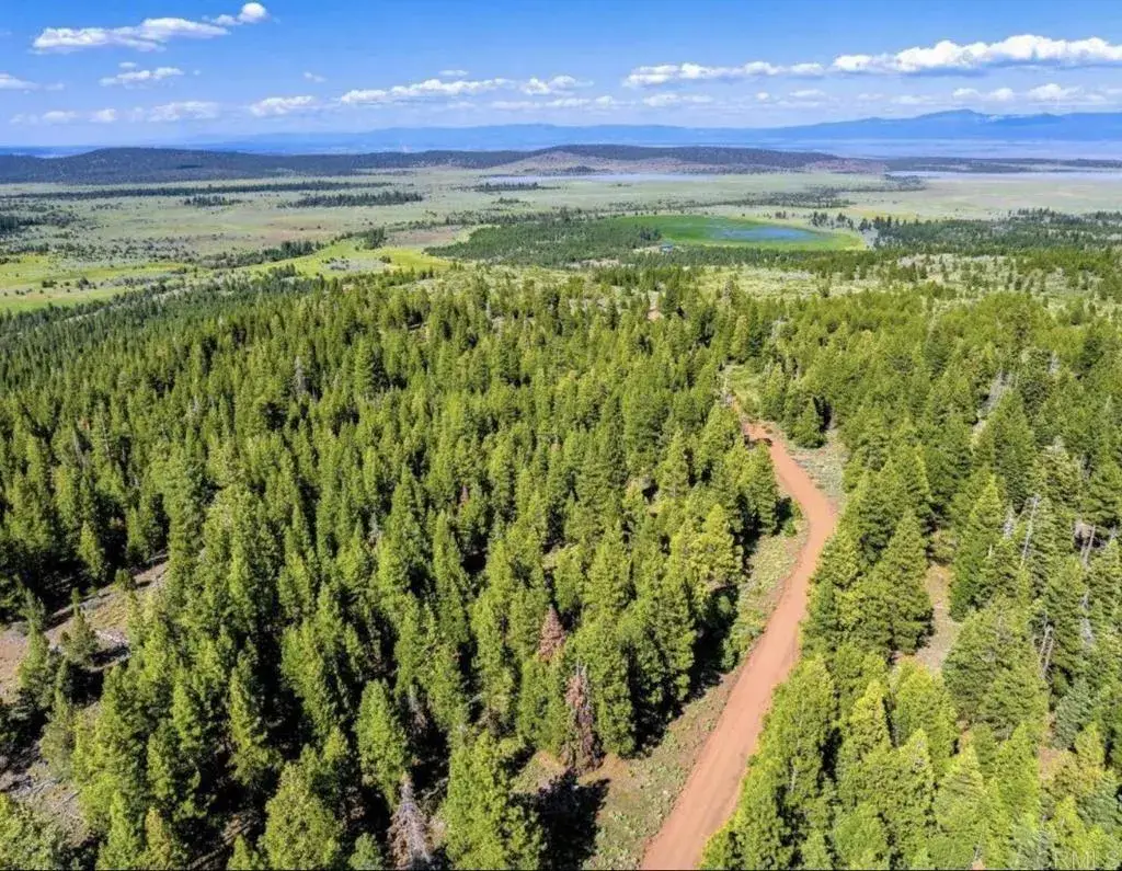 123 Glacier Dr Alturas, Ca 96101, Alturas, CA 96101 - #1