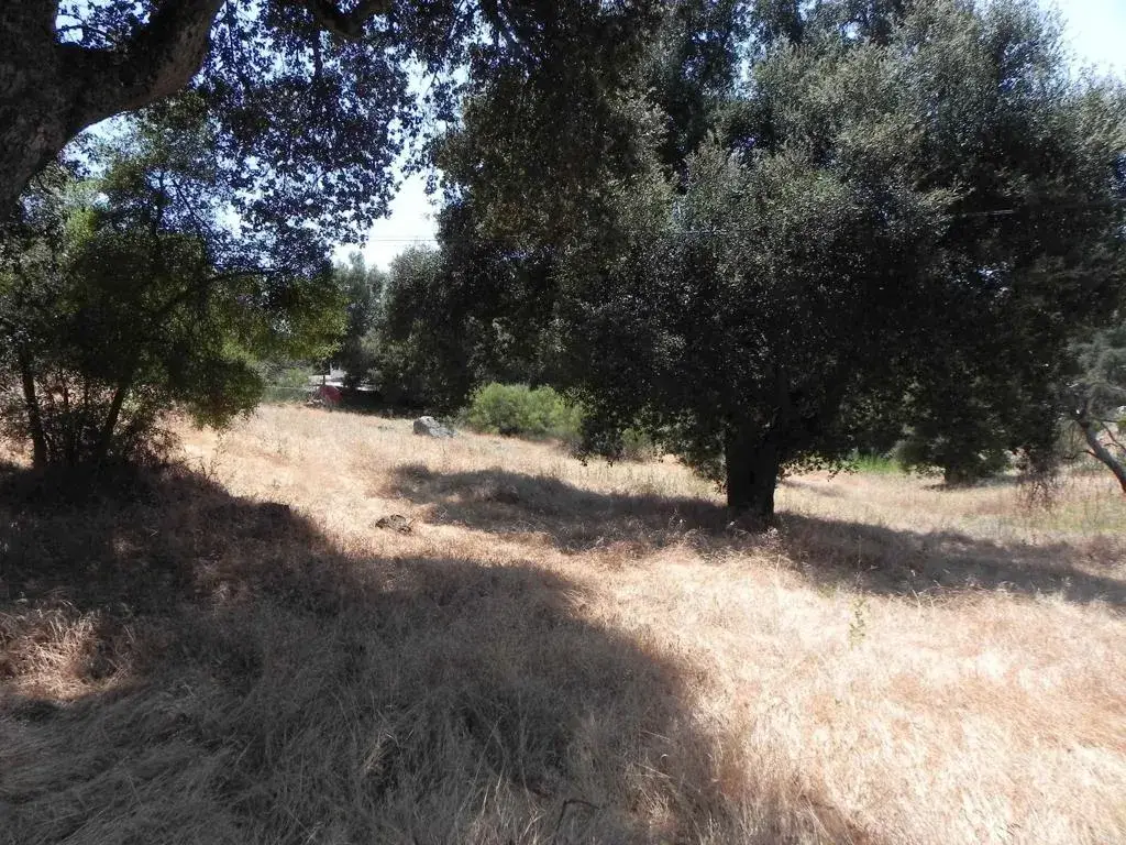 0 Arrowhead Lane, Descanso, CA 91916 - #1
